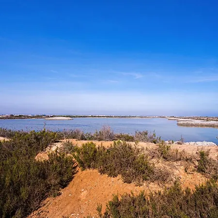 Appartamento Cibeles Torrevieja